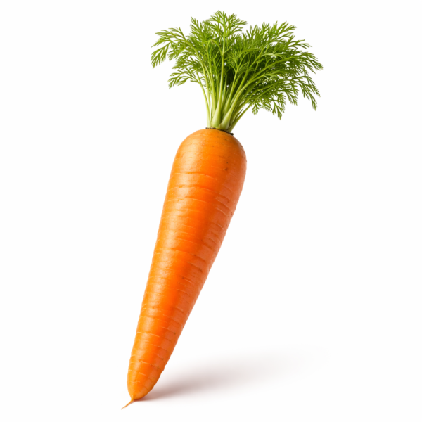 Carrot